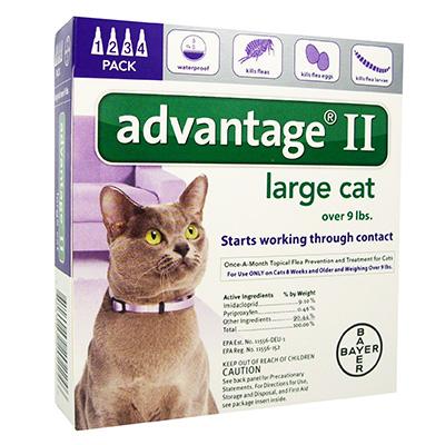 Advantage II for Cats - 4 months - Image 2