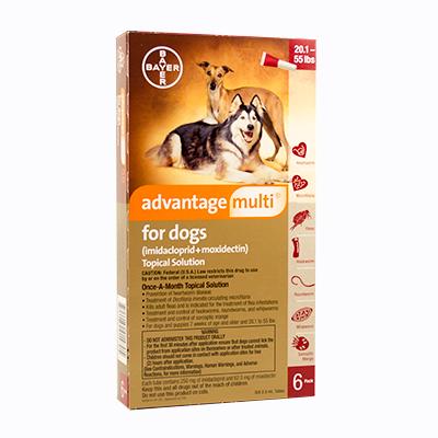 Advantage Multi Topical Solution for Dogs (Rx) - Image 3