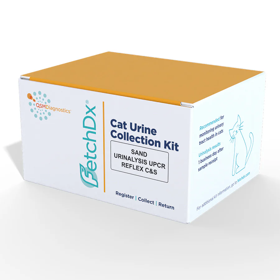 Cat Urinalysis with Reflex Culture & Sensitivity Kit - Image 2