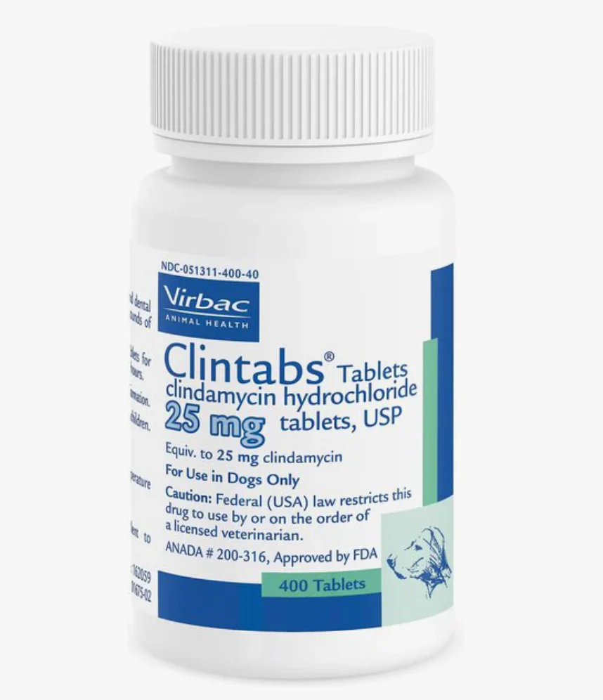 Clintabs (Clindamycin HCl) (Rx) - Image 2