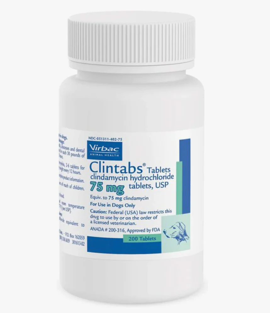 Clintabs (Clindamycin HCl) (Rx) - Image 3