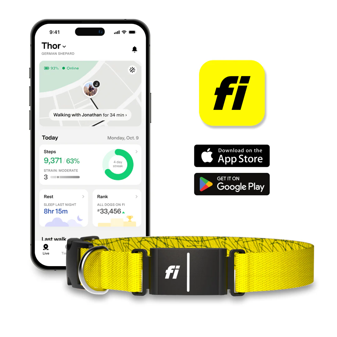 Fi Dog Collar - Image 4