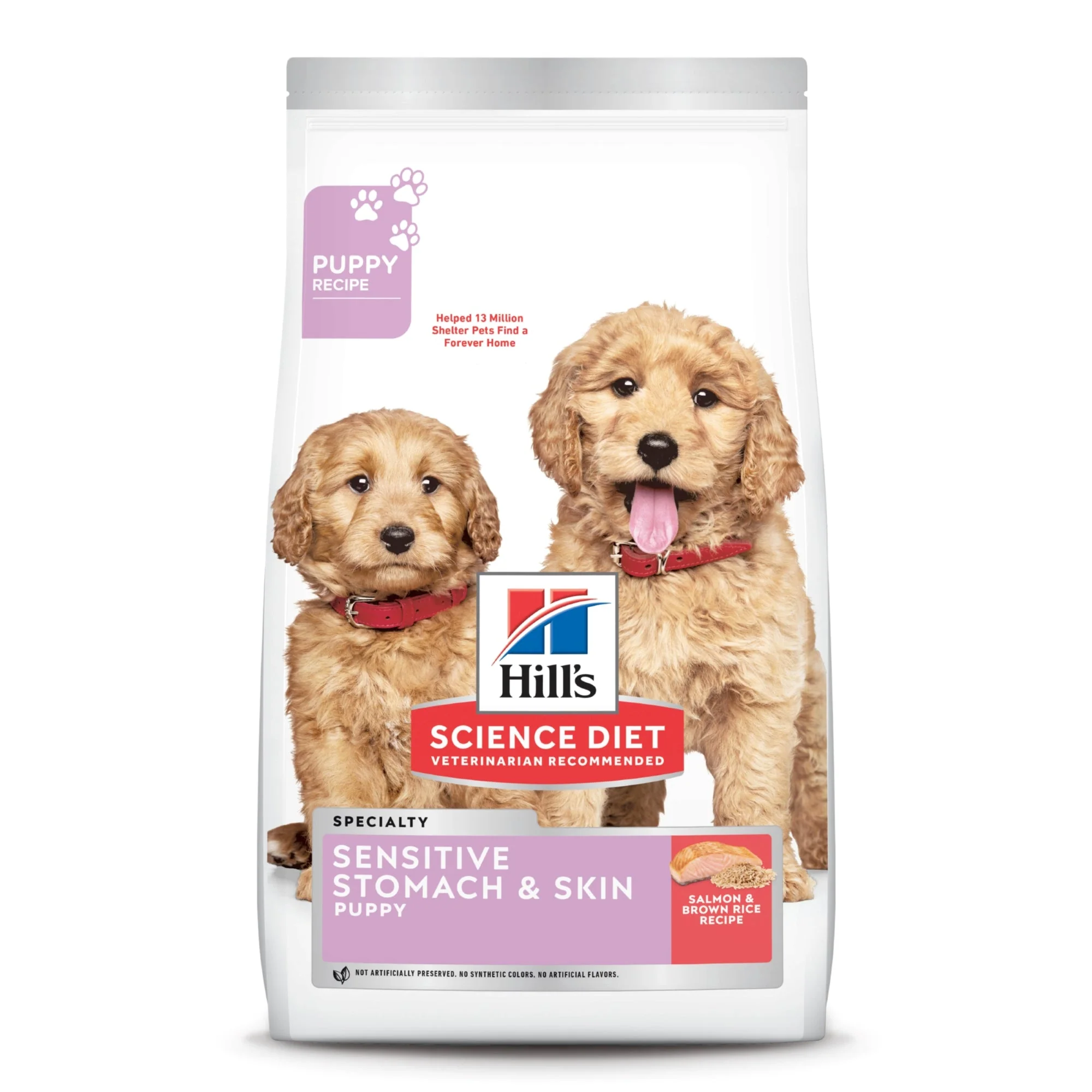 Hill's Science Diet Puppy Sensitive Stomach & Skin Salmon & Brown Rice Recipe Dry Dog Food - Image 2