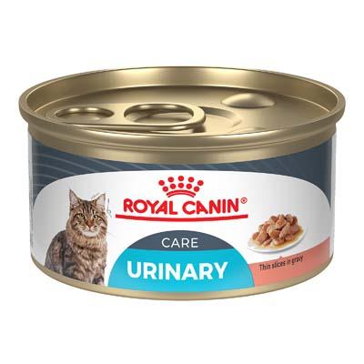 Royal Canin Feline Care Nutrition Urinary Care Thin Slices in Gravy Canned Cat Food - Image 2